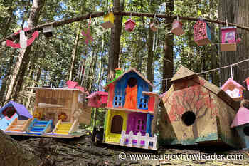 10 THINGS TO DO IN SURREY: Visit 'Fairy Forest,' walk a labyrinth, meet brewery's 'Betty' – Surrey Now-Leader - Surrey Now-Leader