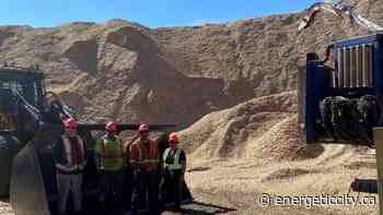 Chetwynd forest enhancement project wraps up - Energeticcity.ca