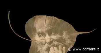 Foglie d’erba: sette voci poetiche dialogano con immagini stampate in omaggio a Whitman - Corriere della Sera