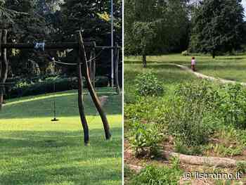 Aquilone: “Niente carrucola, erba alta e cestini strapieni… ma il Comune non doveva intervenire?” - ilSaronno