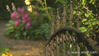 Buffalo gardeners gearing up for Garden Walk Buffalo this weekend; it's the first full event since the start of pandemic