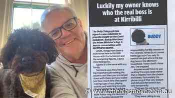 Scott Morrison's dog attacking him is huge - The Big Smoke Australia