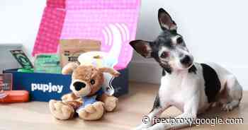 The best dog food delivery for 2021     - CNET