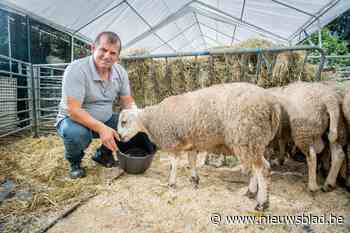 Limburgers gaan offerfeest in hun thuisland vieren