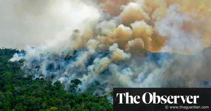 How data could save Earth from climate change