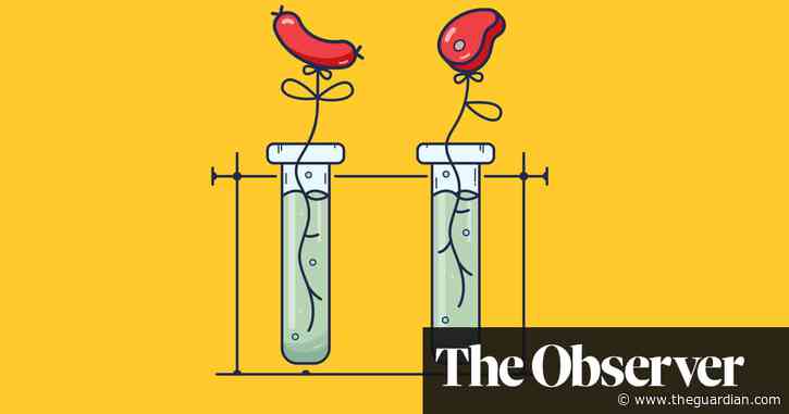 Secrets and pies: the battle to get lab-grown meat on the menu