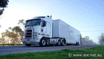 Truck driver from COVID-19 hotspot tries to enter Queensland with false documents