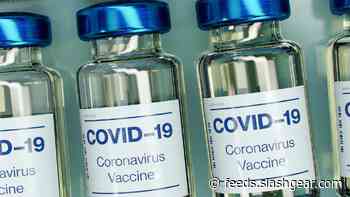 Pfizer and Moderna near two major milestones as FDA fuels vaccine review