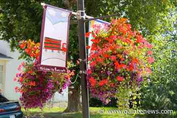 Back to Bancroft area best buy - Quinte News