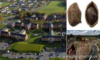 Roman fort and treasure trove of artefacts are uncovered in Yorkshire
