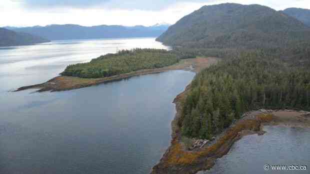 B.C. First Nation and partners propose new $10B LNG megaproject