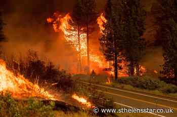 Oregon blaze grows as wildfires burn across western US - St Helens Star