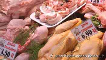 Modena. Vende polli scaduti, licenziata dalla Coop - La Gazzetta di Modena