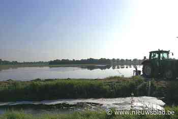 Bijkomende pompen moeten oogst redden