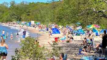 People have embraced Ontario's parks during the pandemic, but are they loving them to death?
