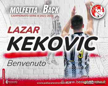 Ufficiale, l'ala Lazar Kekovic è un nuovo giocatore della Pallacanestro Molfetta - Serie B Girone D - Basketmarche.it