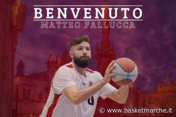La Pallacanestro Nardò batte un altro colpo: ufficiale l'arrivo dell'ala Matteo Fallucca - Serie A2 - Basketmarche.it