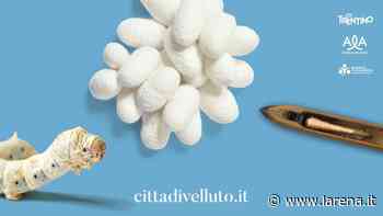 Il Festival Città di Velluto esalta l'antica storia di Ala e la sua rinomata produzione di seta - L'Arena