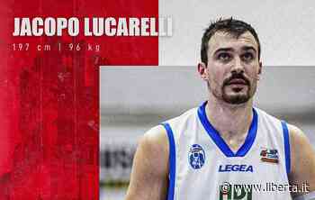 Bakery, arriva un'ala livornese: Jacopo Lucarelli è biancorosso - Libertà Piacenza - Libertà