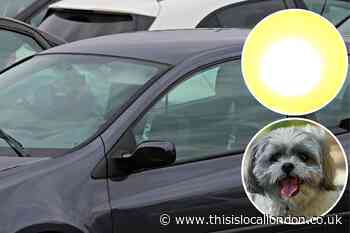 Essex Fire rescued dog in hot car in Brentwood