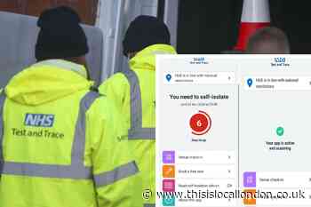 NHS Test and Trace data: Thousands self-isolate in Essex