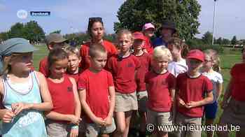 Alternatief voor kamp in Ardennen: in eigen gemeente en zonder overnachtingen