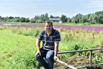 Dijkgraaf na waterellende in Leest: “Er zijn meer bufferbekkens nodig”