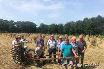 Landbouwers pikken koren voor dak van kerststal