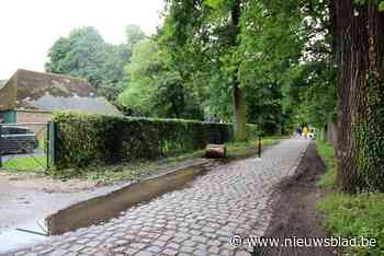 Paaltje en politie moeten ongewenste auto’s van kasteeldomein houden