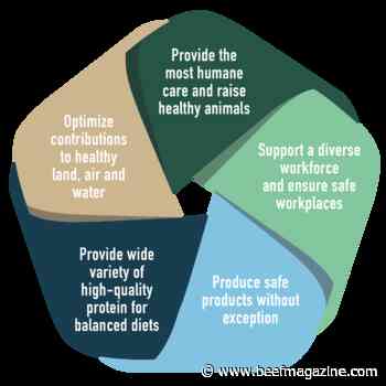 Animal ag organizations launch ambitious new Protein PACT