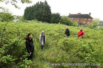 Memories of when Grow garden in Loughton opened