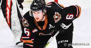 Luke Prokop, Alberta-born NHL prospect comes out as gay in Twitter statement