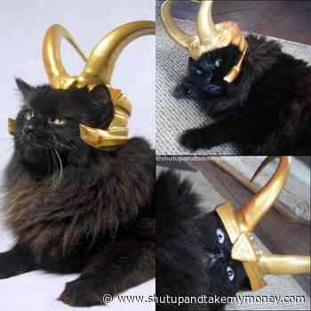 Loki Crown For Pets