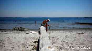 Goodbye 'normal': What climate change is doing to summer in Canada