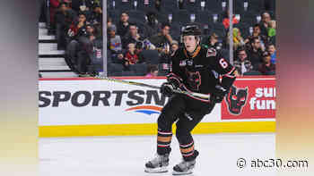 Nashville Predators prospect Luke Prokop comes out as gay, 1st active NHL player to do so