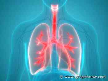 Scientists develop novel 3D robotic motion phantom that can reproduce human lung motion