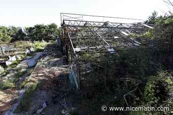 Projet immobilier à la place d’anciennes serres à Antibes... Il y aura quand même du stationnement