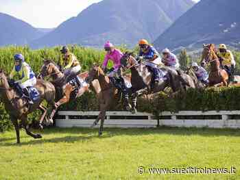 Mushrae und Andoins siegen zum Auftakt des Sommermeetings - Suedtirol News