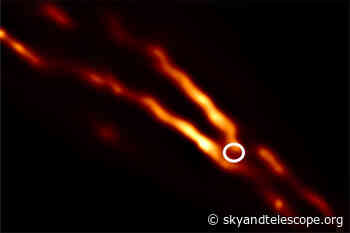 Event Horizon Telescope Reveals Curious Jet Structure from Black Hole