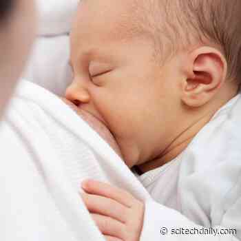 No Sign of Pfizer or Moderna COVID-19 Vaccines in Breast Milk