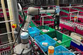 Giving Robots Better Moves: Combining Unique Gripper Designs With AI and Machine Vision