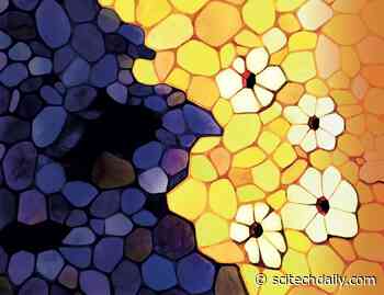 Vital Protective Mechanism Discovered: Dying Cells Protect Their Neighbors To Maintain Tissue Integrity