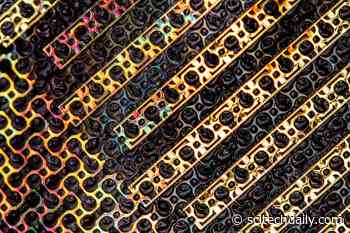 Sweat-Proof Electronic “Smart Skin” Takes Reliable Vitals, Even During Workouts