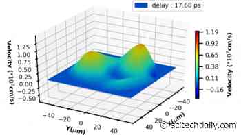 Watching the Ultrafast Dance Moves of a Hot, Dense Laser Plasma