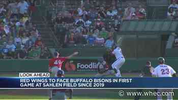 Red Wings to face Bisons in first minor league game in Buffalo since 2019