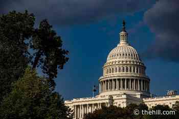 Female activists march on Capitol in push for voting rights