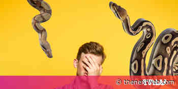 Python errors? You probably made one of these silly mistakes