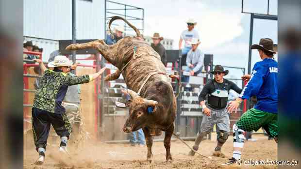 Bulls on the Beach set for Chestermere Agricultural Society corral