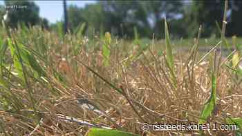 Parts of state in 'extreme' drought; City of Minneapolis asks residents to conserve water