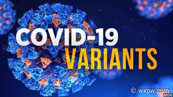 Medical Monday: COVID-19 Delta Variant - WXOW.com
